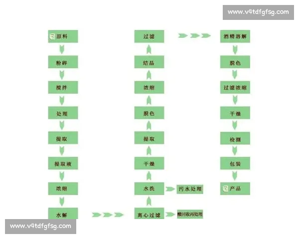体育数据分析学习路径：从基础知识到实战应用的全面指南